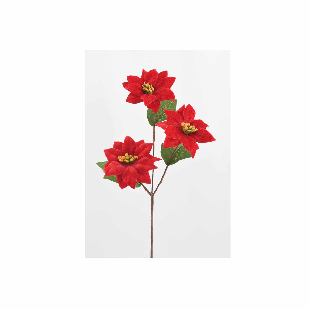 Poinsettia stem Christmas florals Osborne & Co.