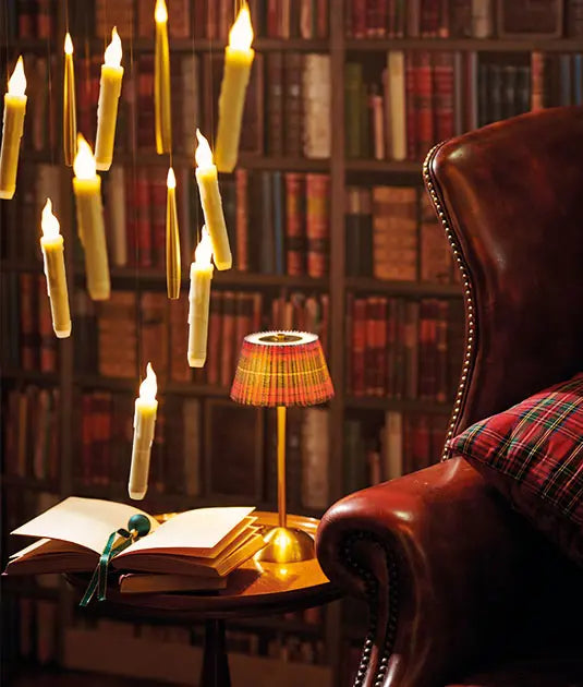 Harry Potter & traditional Christmas