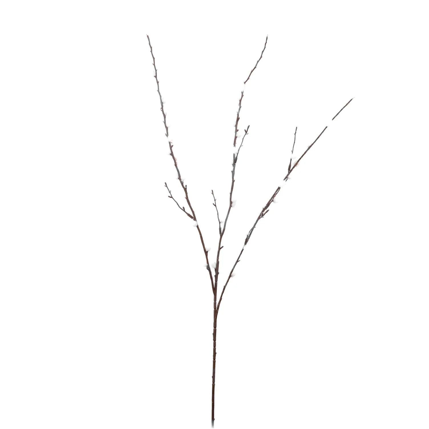 Cream pussy willow spray