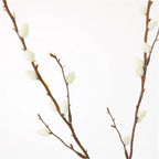 Cream pussy willow spray