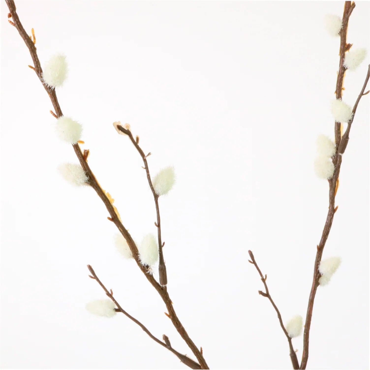 Cream pussy willow spray