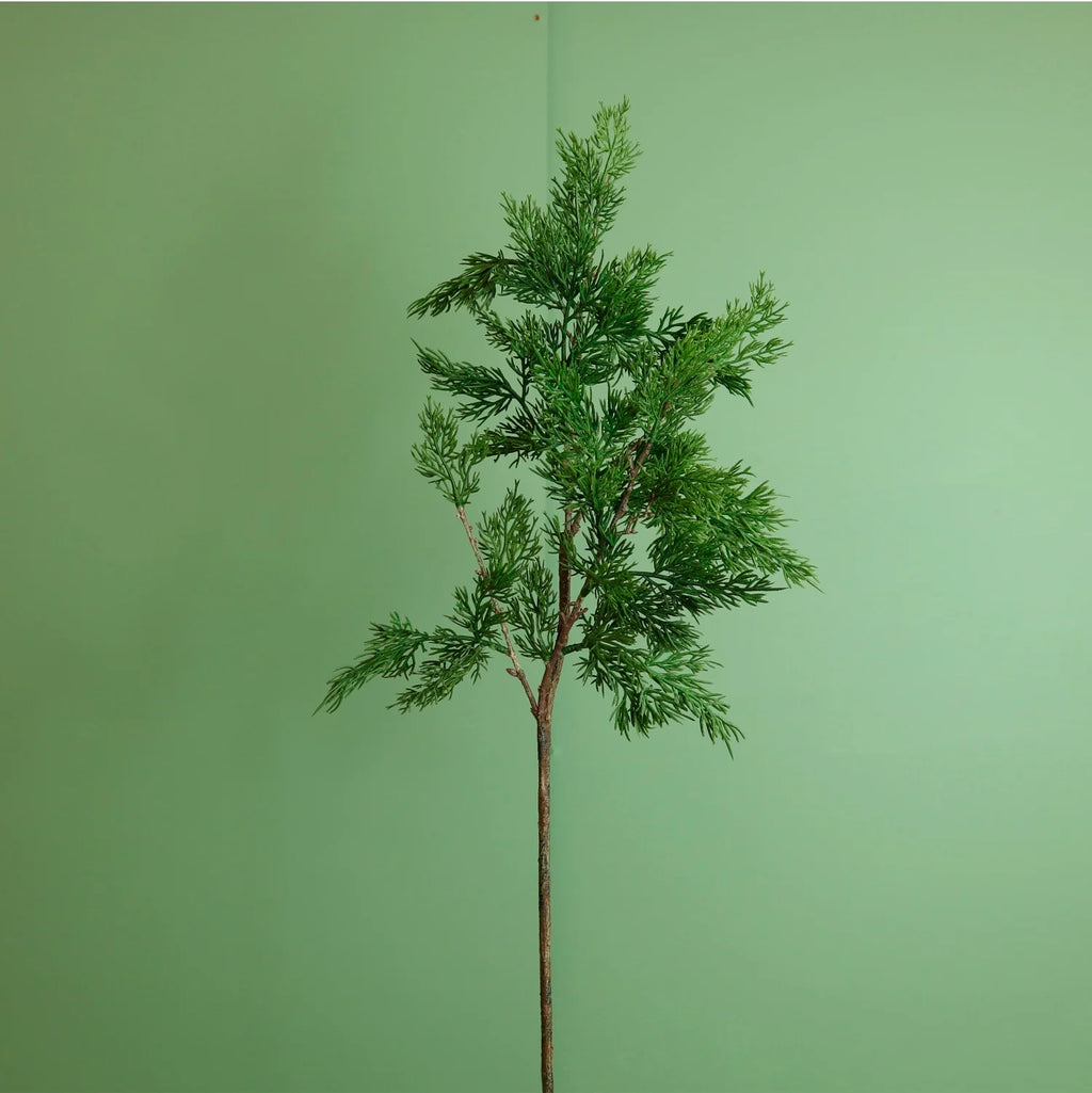 Juniper pine spray