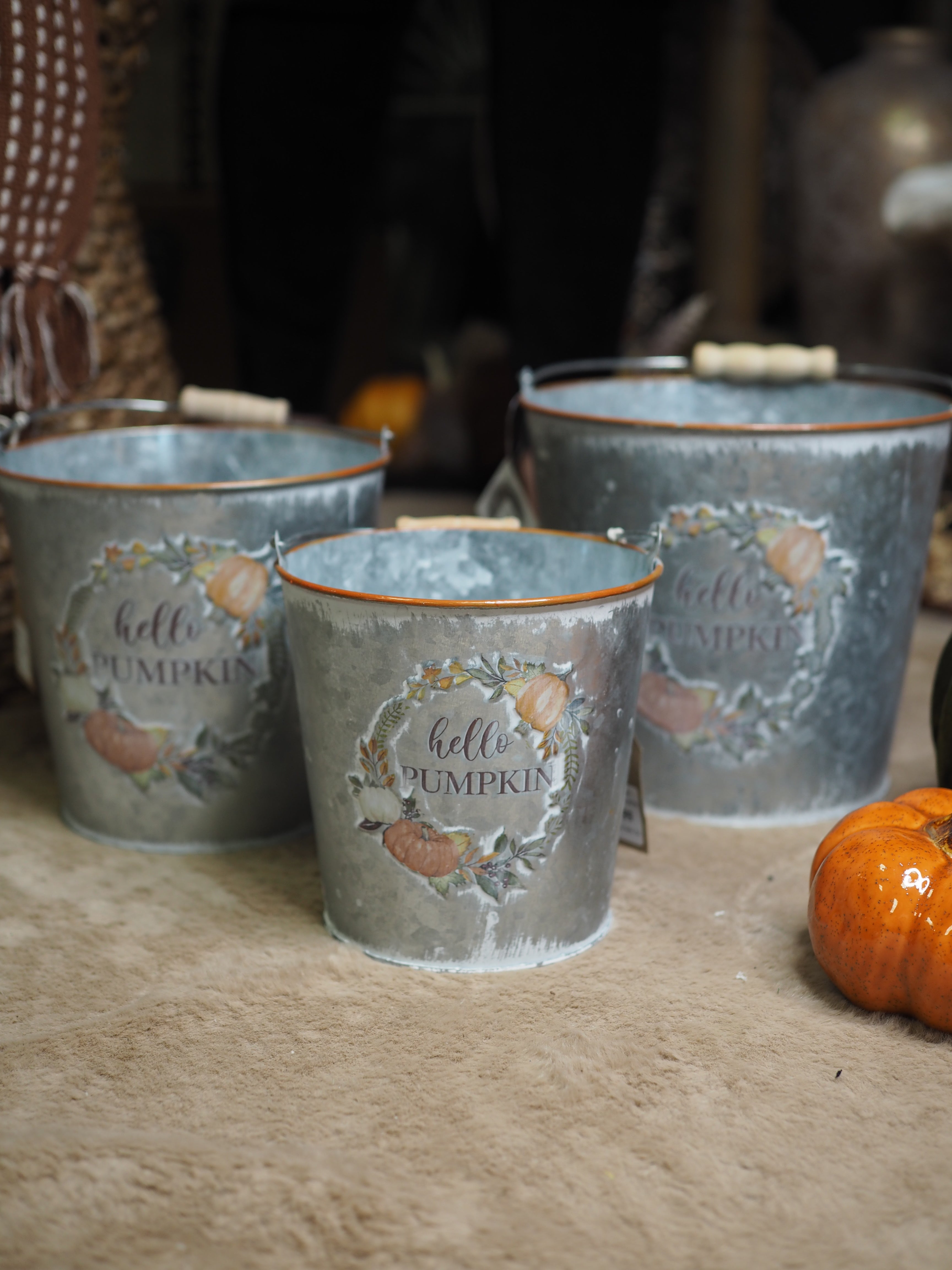 Pumpkins silver metal buckets