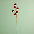 Burgundy mini velvet mushroom spray