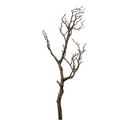 Natural wildwood branch