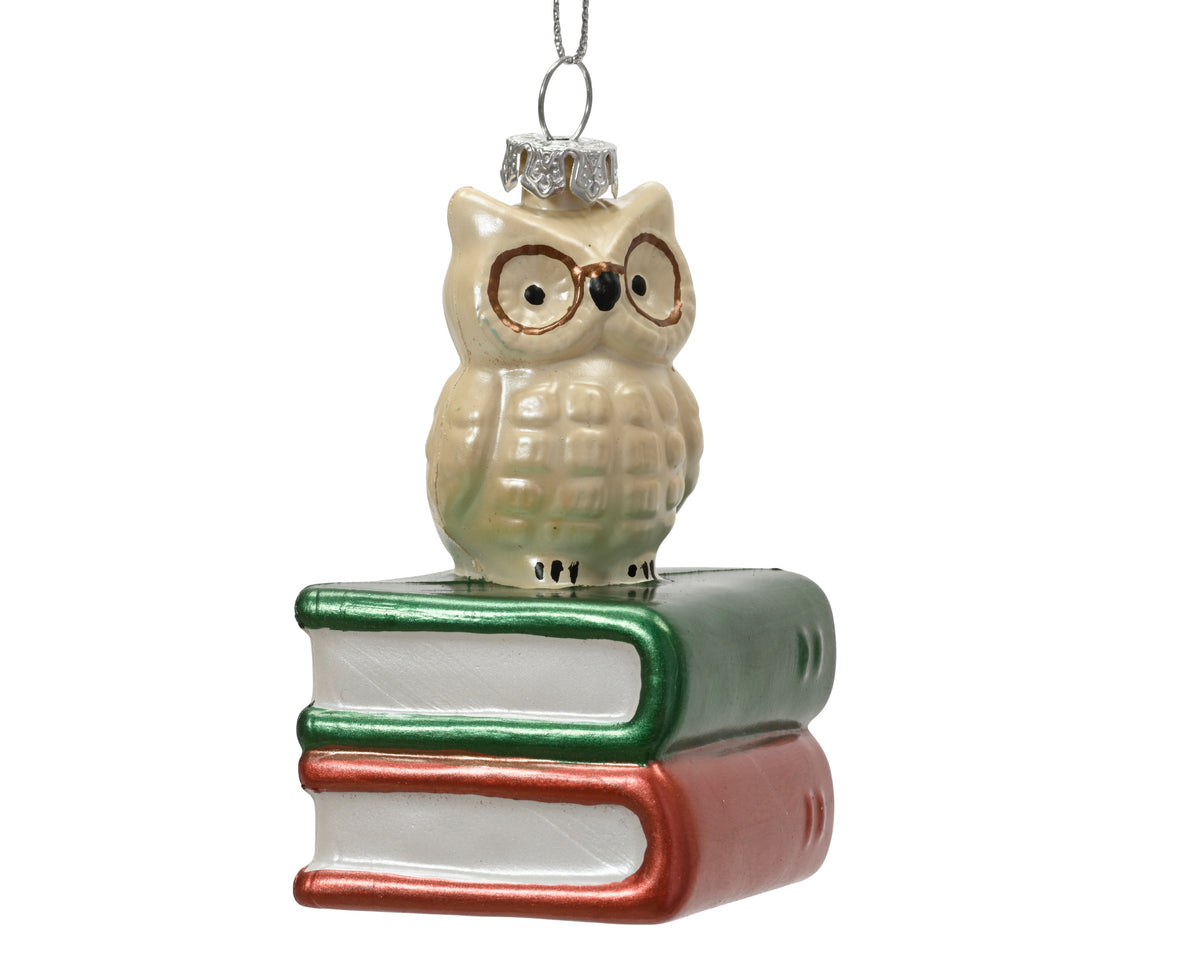 Owl on stack of books shatterproof hanging decoration