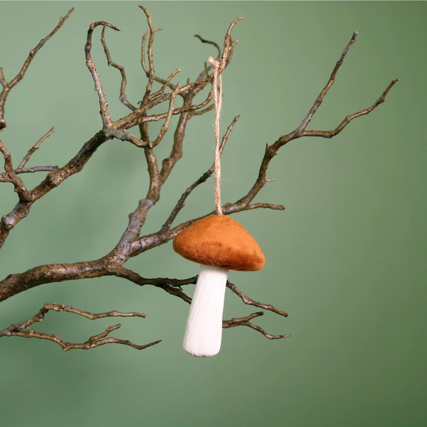 Brown velvet hanging mushroom