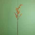 Orange mini bud berry stem