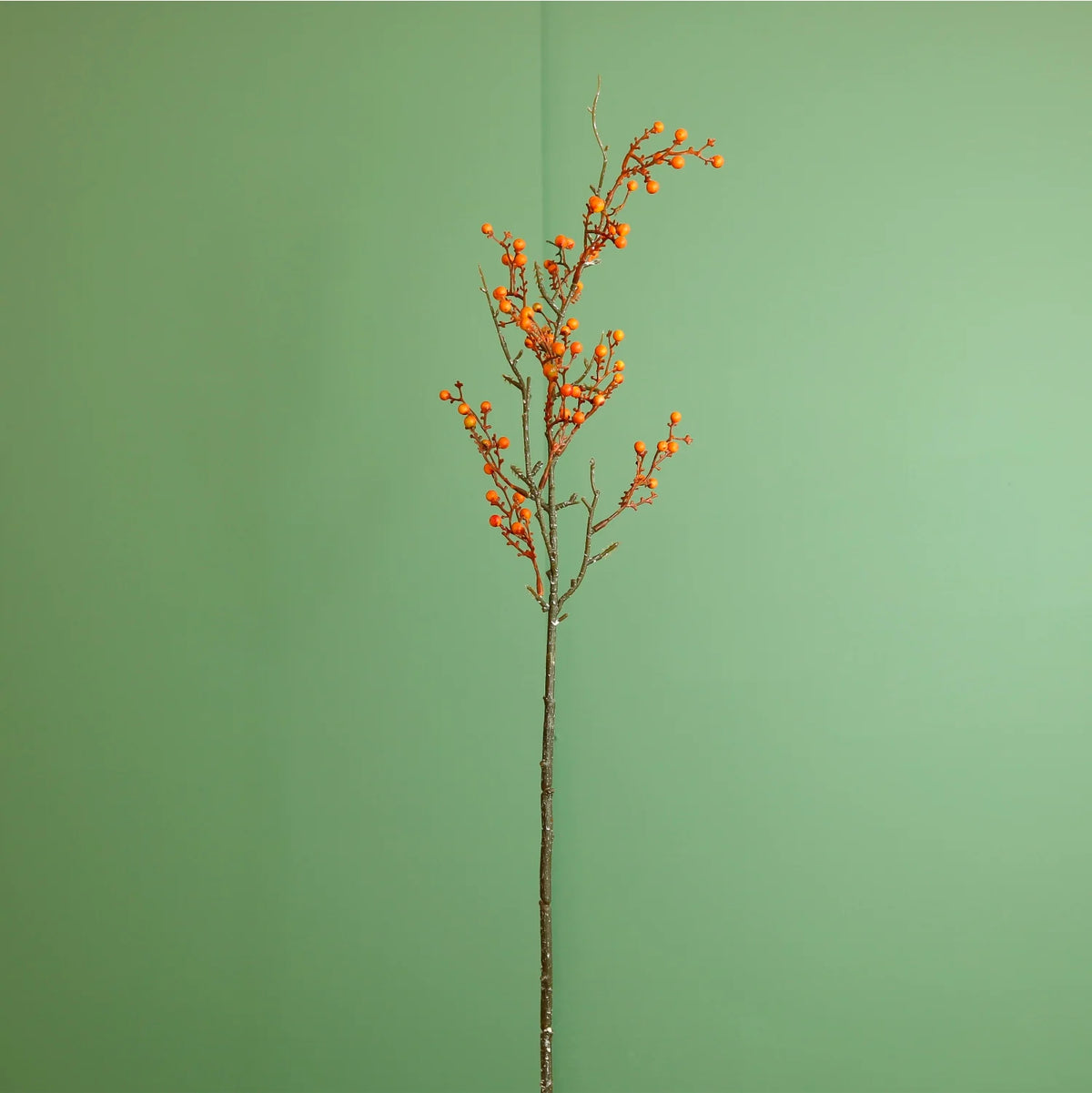 Orange mini bud berry stem