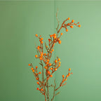 Orange mini bud berry stem