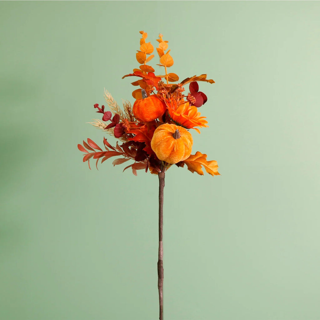 Autumn harvest pumpkin mix stem