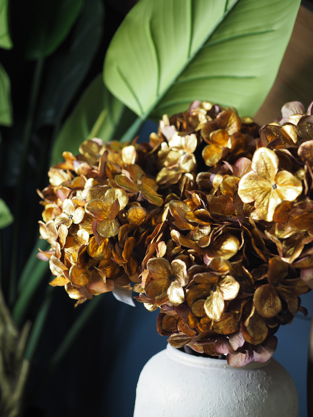 Gold hydrangea stem