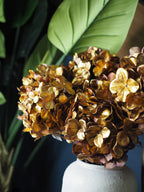 Gold hydrangea stem