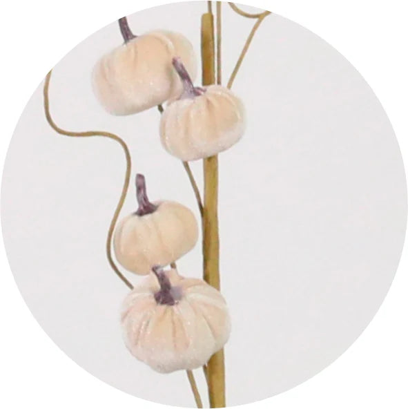 Mini cream velvet pumpkin spray