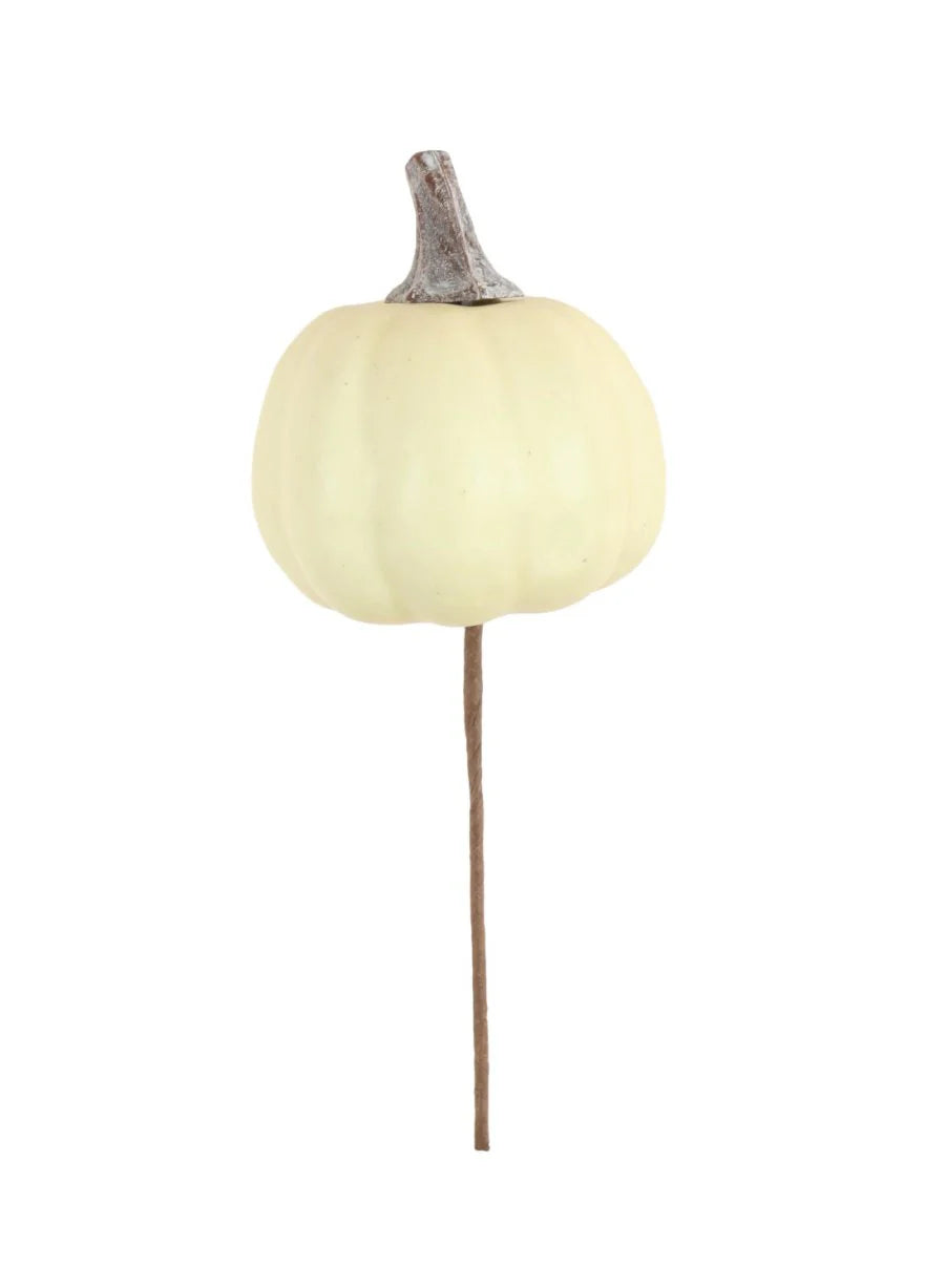 Ivory pumpkin pick