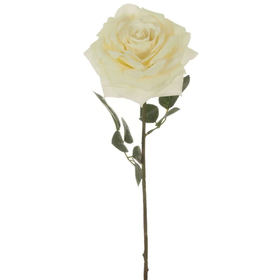 Cream marie rose stem