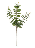Green printed rounded eucalyptus spray
