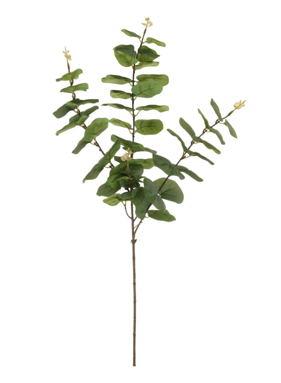 Green printed rounded eucalyptus spray