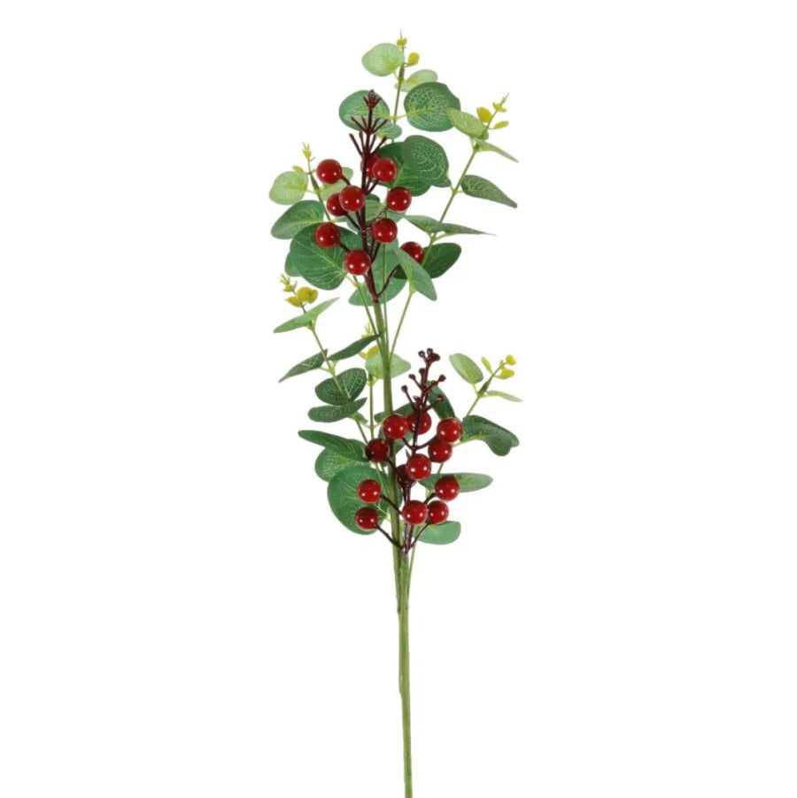 Christmas eucalyptus and berry stem