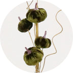 Mini dark green velvet pumpkin spray