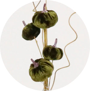 Mini dark green velvet pumpkin spray