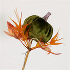 Dark green velvet pumpkin stem