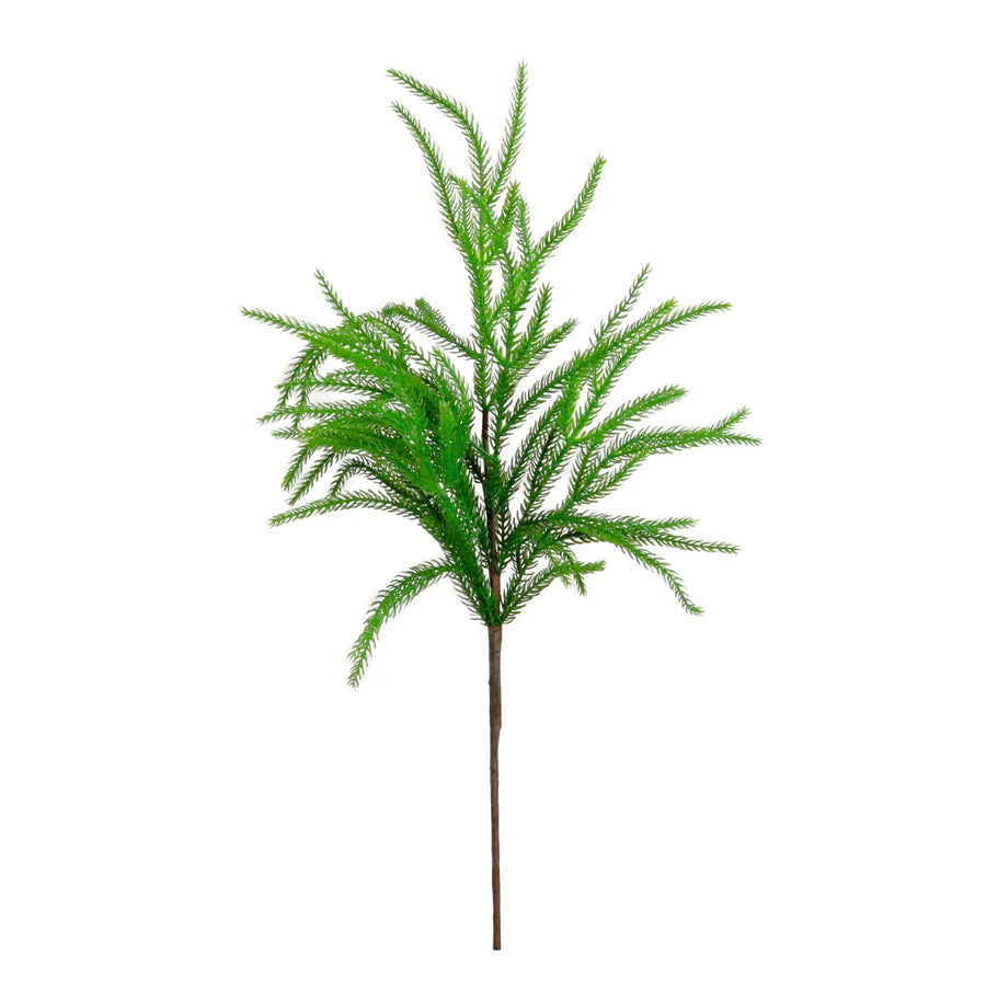 Real touch weeping Norfolk Pine stem
