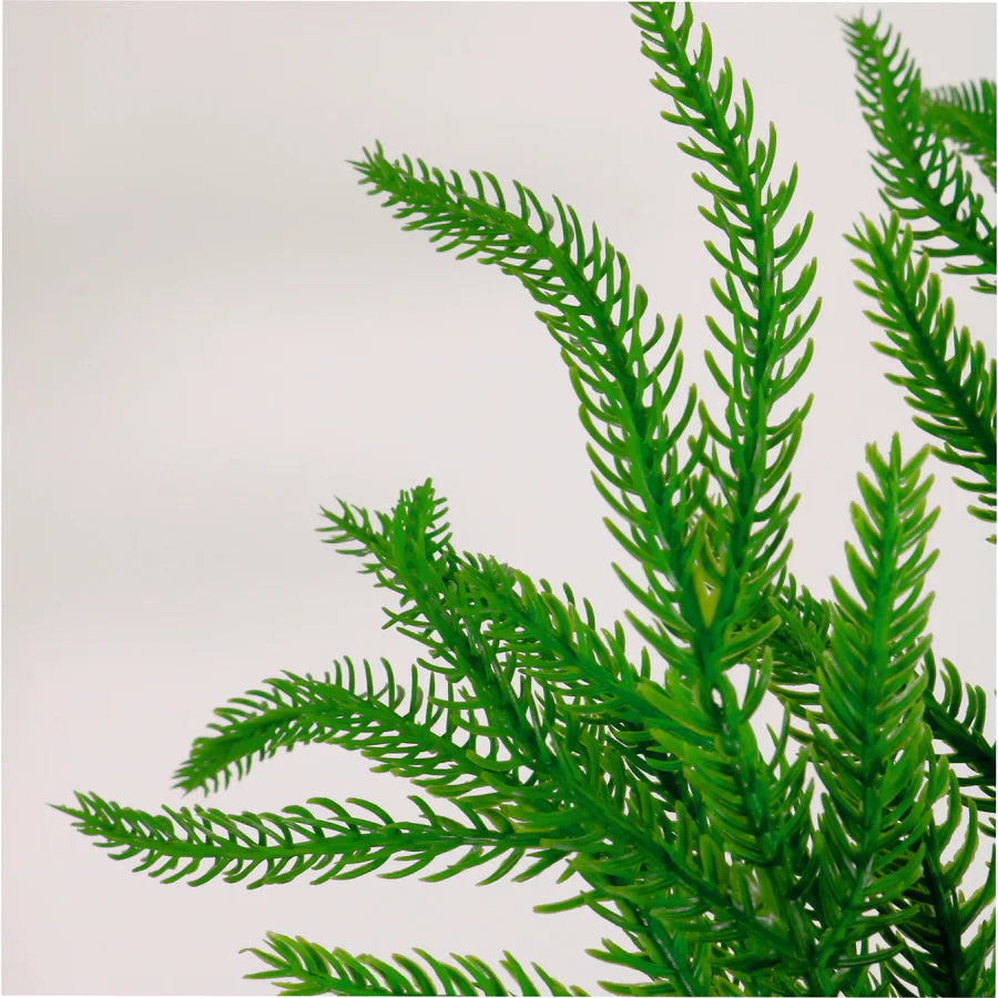 Real touch weeping Norfolk pine pick