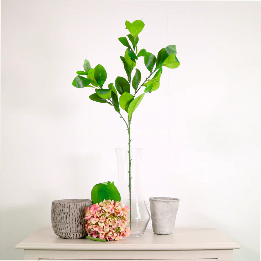 Laurel spray natural green