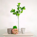 Laurel spray natural green