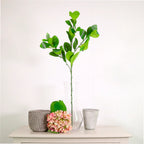 Laurel spray natural green