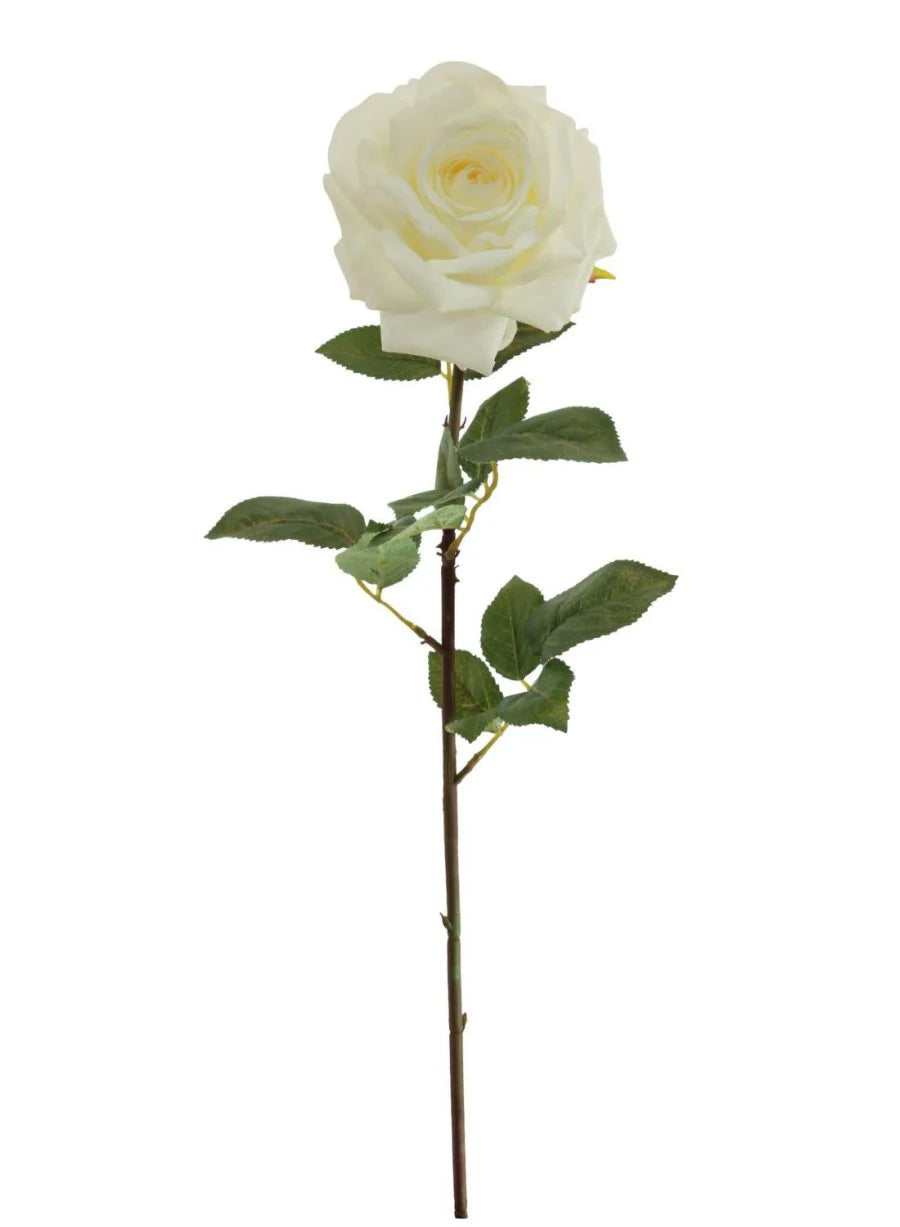 Silk single Luna rose in ivory