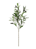 Olive spray (85cmH)