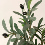 Olive spray (85cmH)