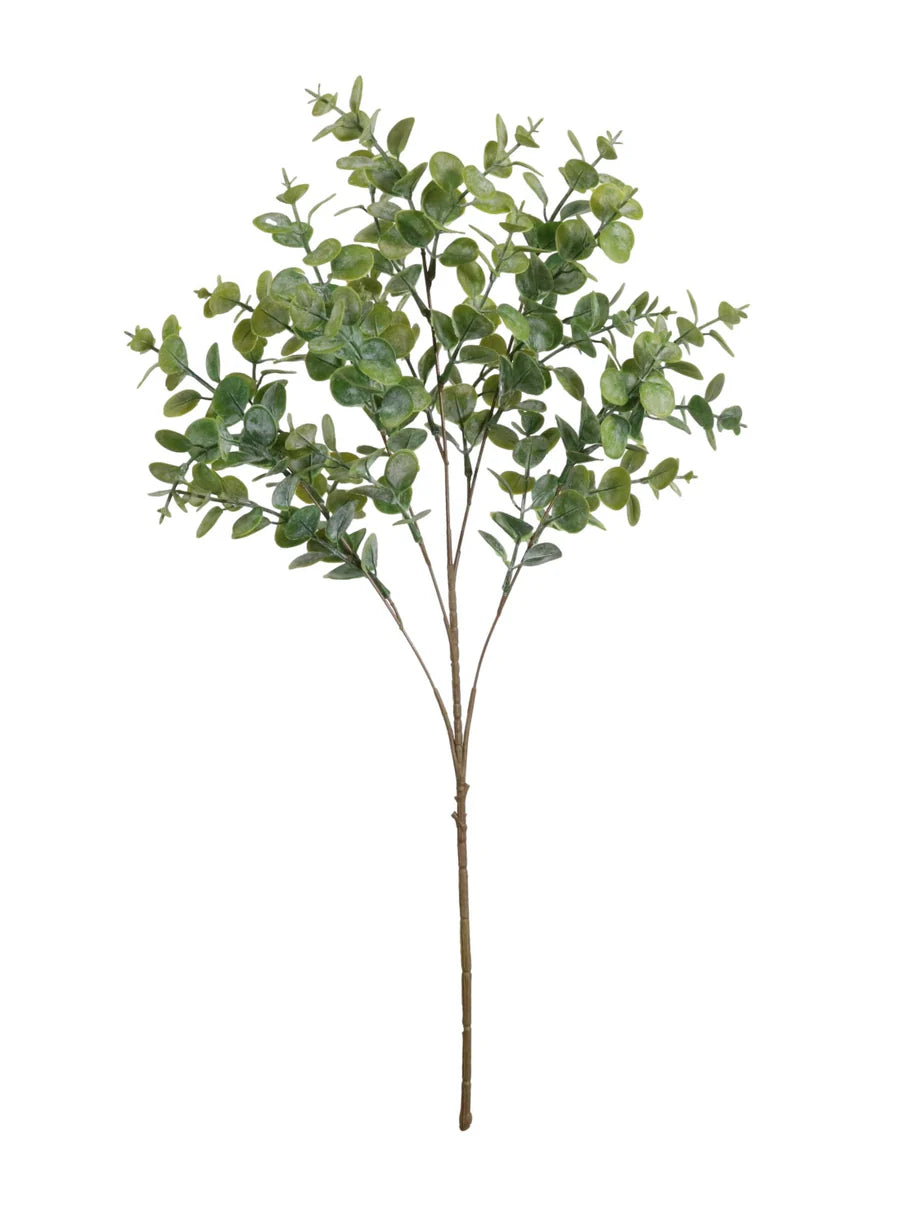 Gum drop eucalyptus spray in natural green