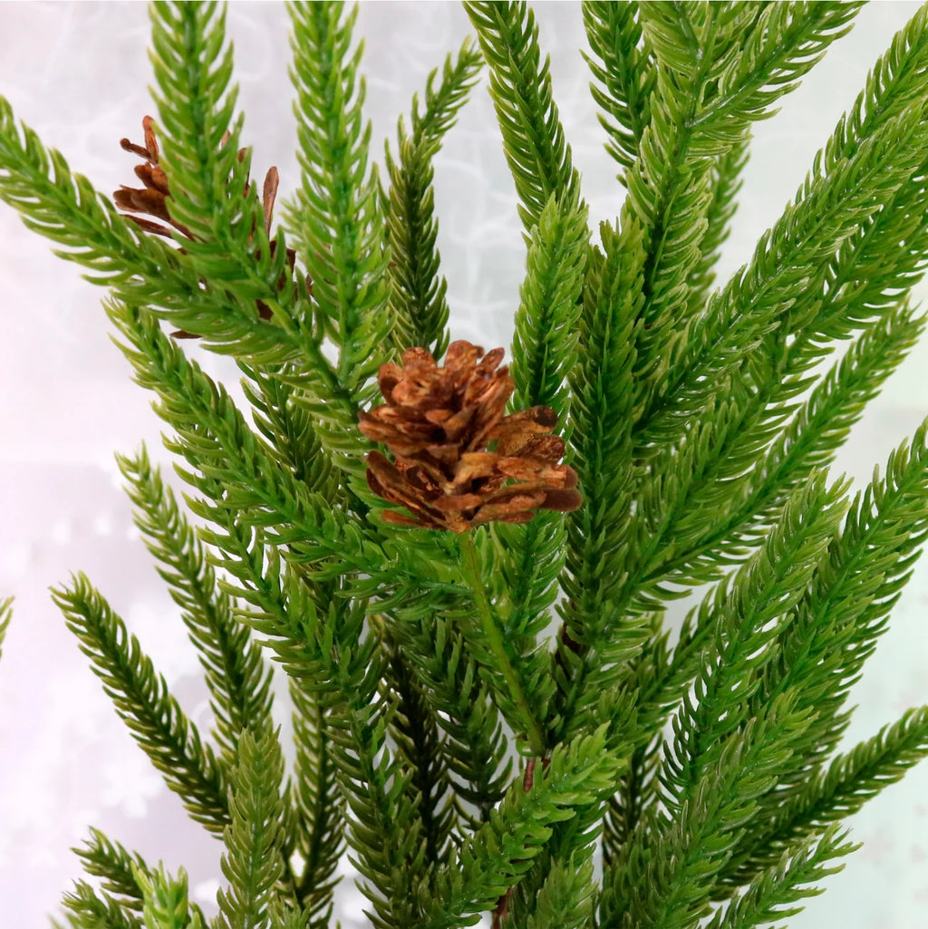 Real touch 'Norfolk pine' spray