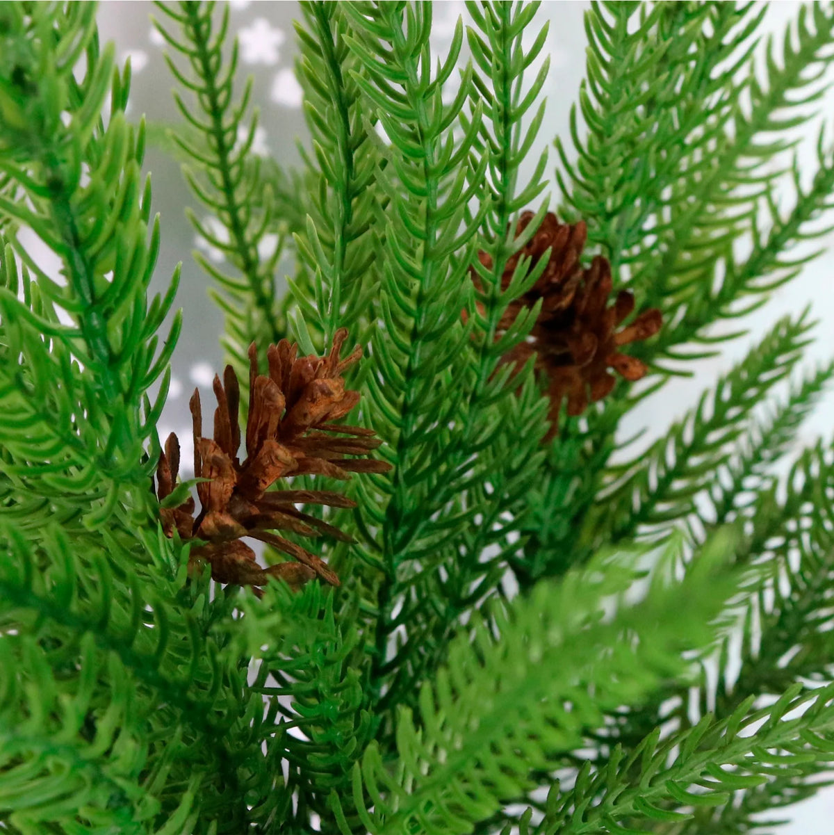 Real touch 'Norfolk pine' spray