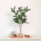 Green Christmas spruce spray