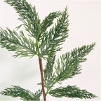 Green Christmas spruce spray