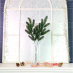 Natural green Christmas spruce spray