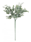 Green gunni eucalyptus spray
