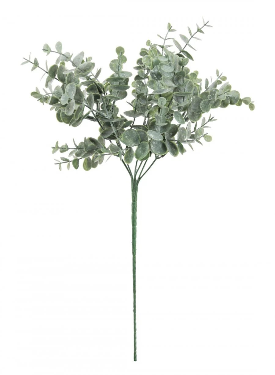 Green gunni eucalyptus spray