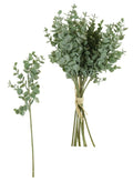 Natural green mini eucalyptus bunch