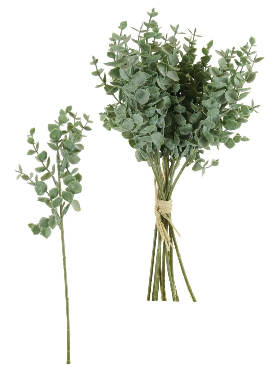 Natural green mini eucalyptus bunch