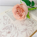 Dusty pink lila bud rose stem