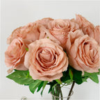 Dusty pink lila bud rose stem