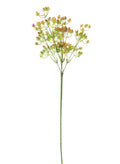 Red spikey bud stem