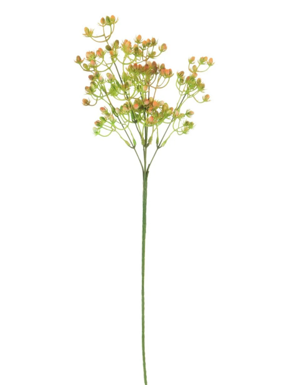 Red spikey bud stem