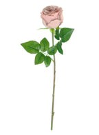 Dusty pink lila bud rose stem