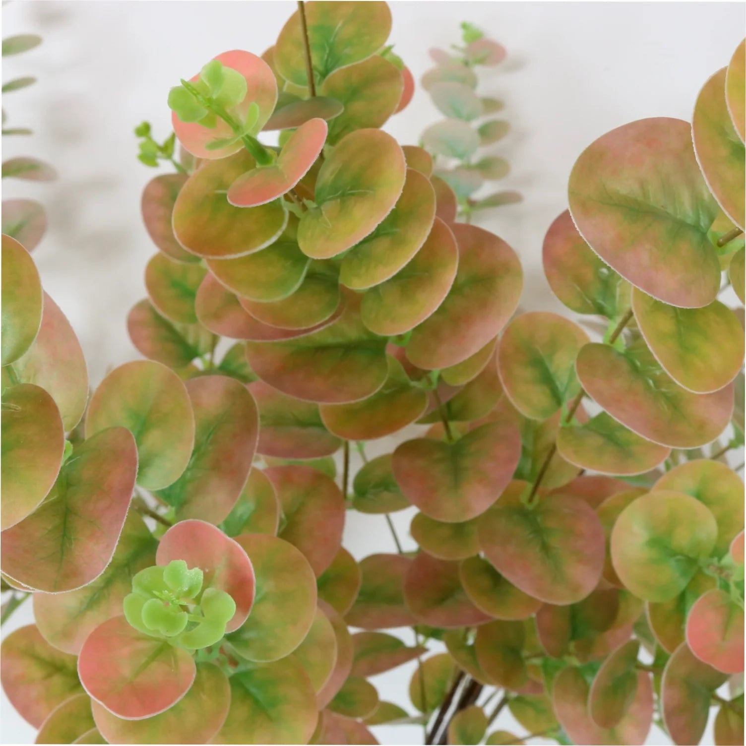 Pink & green printed eucalyptus spray